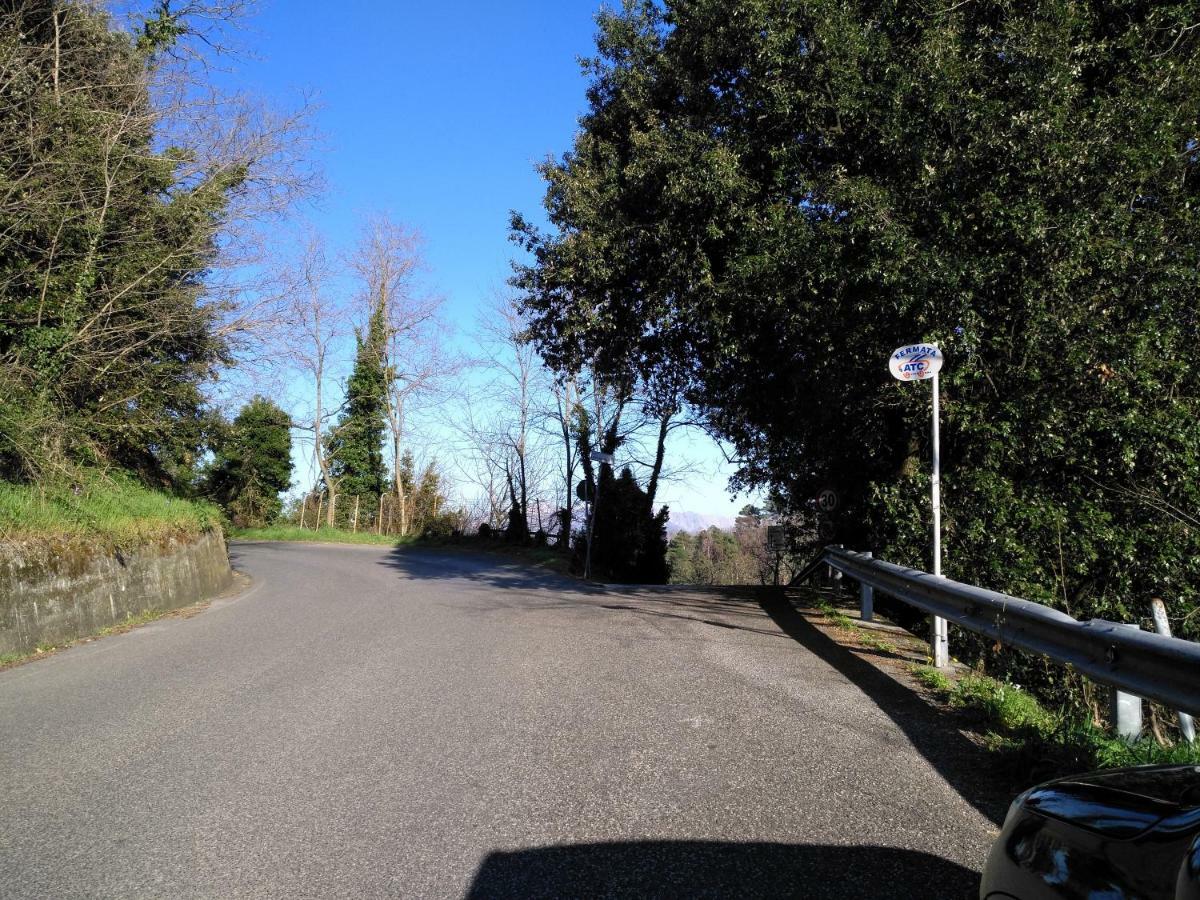 Il Piccolo Lord Appartement La Spezia Buitenkant foto
